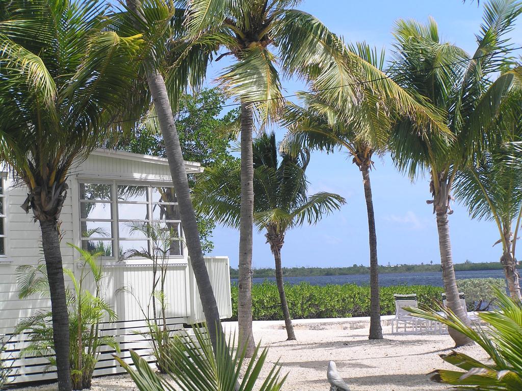 Parmer'S Resort Little Torch Key Eksteriør bilde